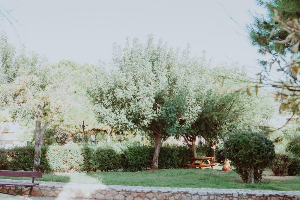 Beautiful House In Alimos Near To The Beach And Metro أثينا المظهر الخارجي الصورة